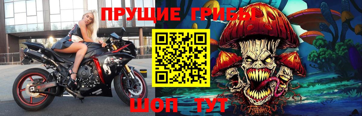 Полысаево  Галлюциногенные грибы Psilocybe  Галлюциногенные грибы Magic Shrooms  Вход с VPN 