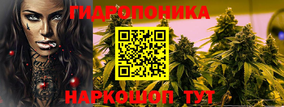 Бошки Шишки Amnesia  Вход с VPN  Шишки марихуана THC 21%  Полысаево  Конопля Bruce Banner  Каннабис конопля 